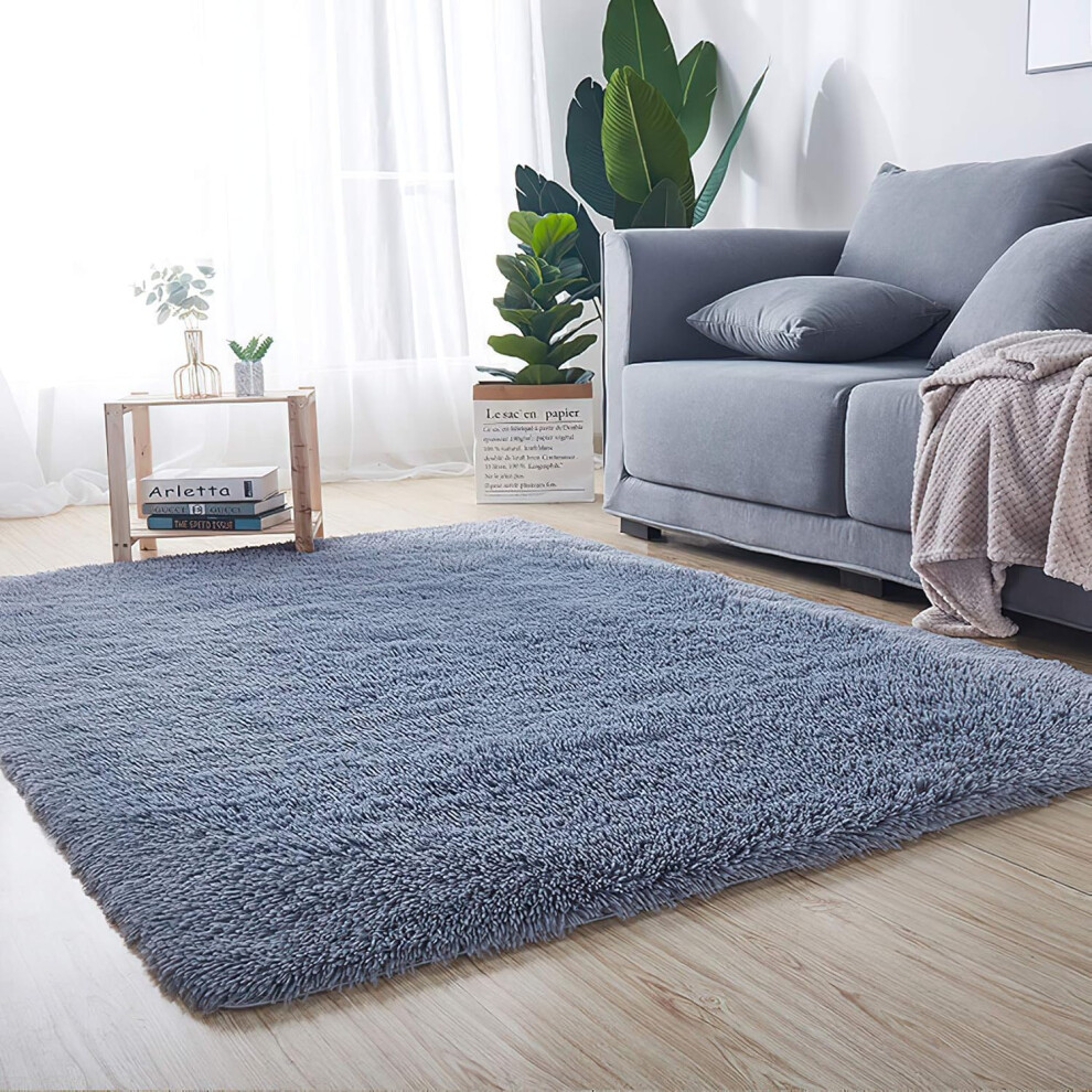Living Room Rug Soft Fluffy Bedroom Carpets 80x120cm Indoor Carpets Anti-Slip Silver Gray-image-OPC-PFGFG79-NEW