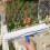 Window Cleaning Kit Window Squeegee and Microfiber Window Cleaning Cloth Rubber 3