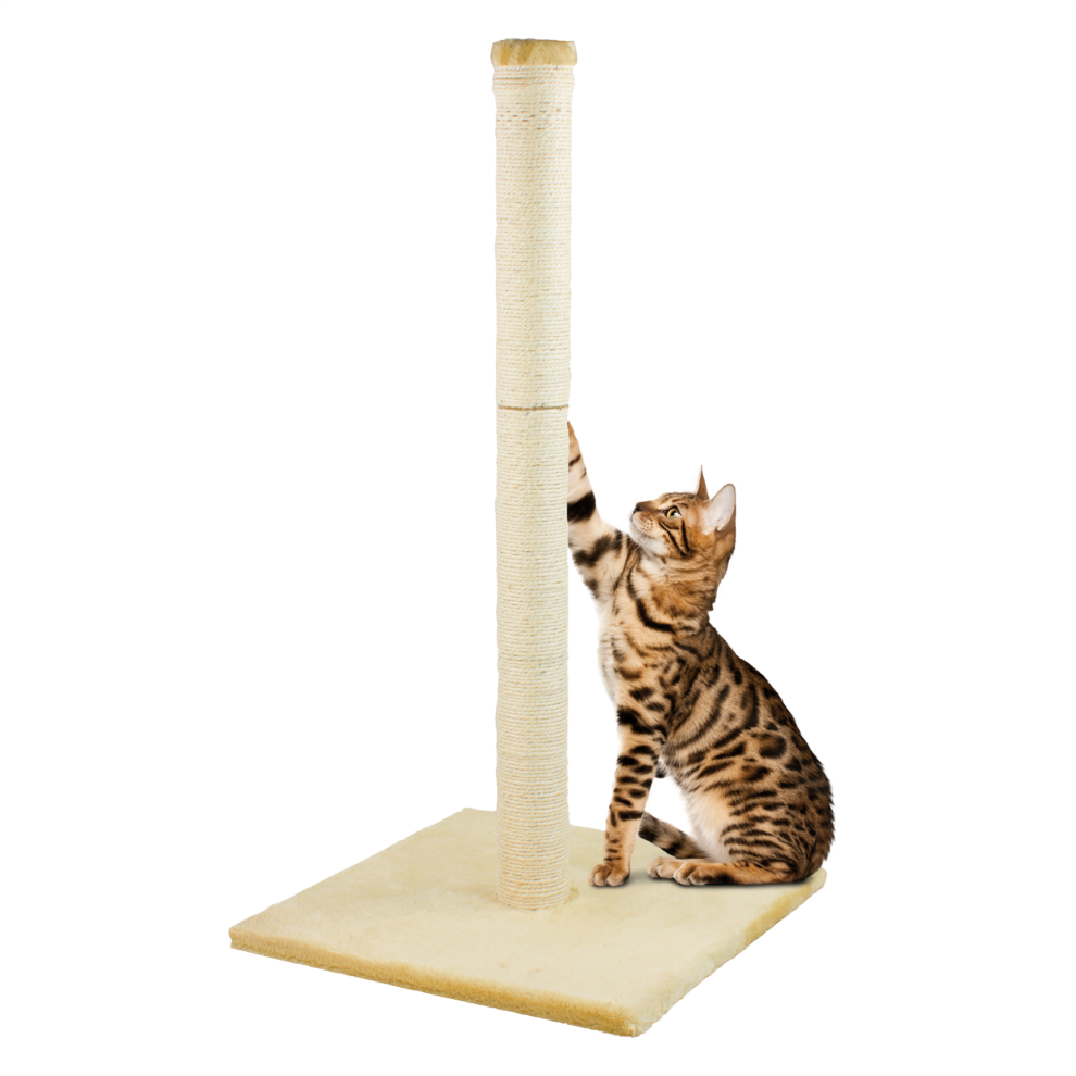 (Large, Beige) KCT Cat Scratching Post Activity Tree Kitten Climbing Tower Toy