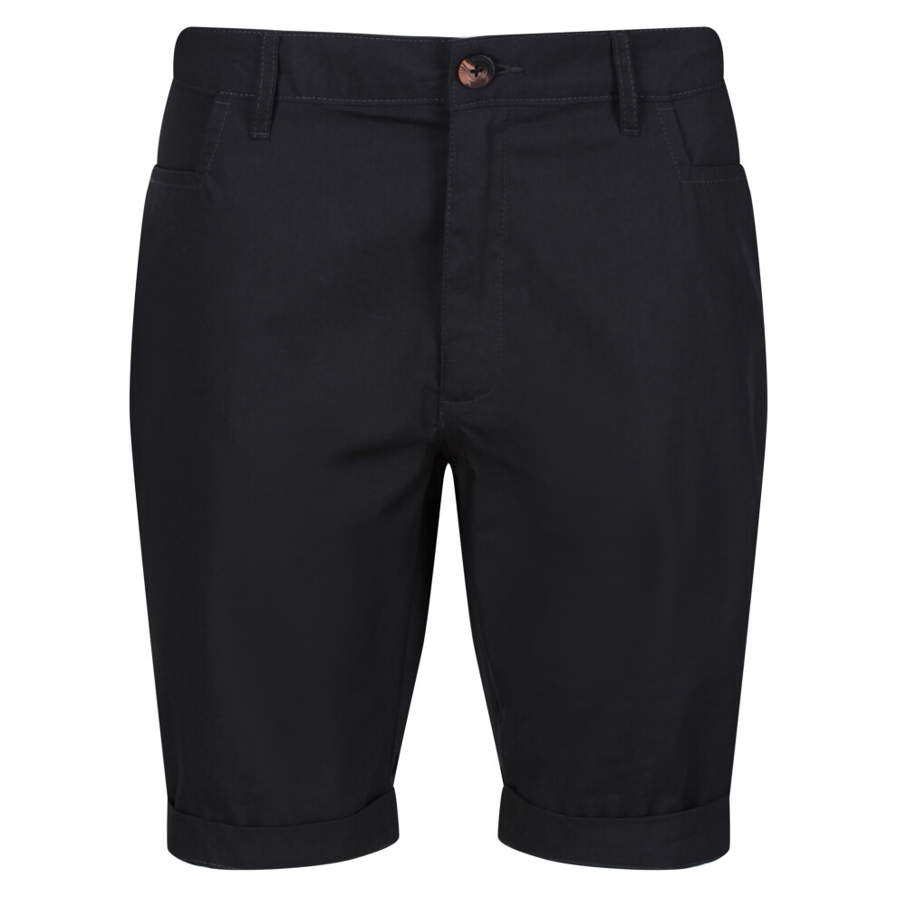 (33R, Ash) Regatta Mens Cobain Shorts