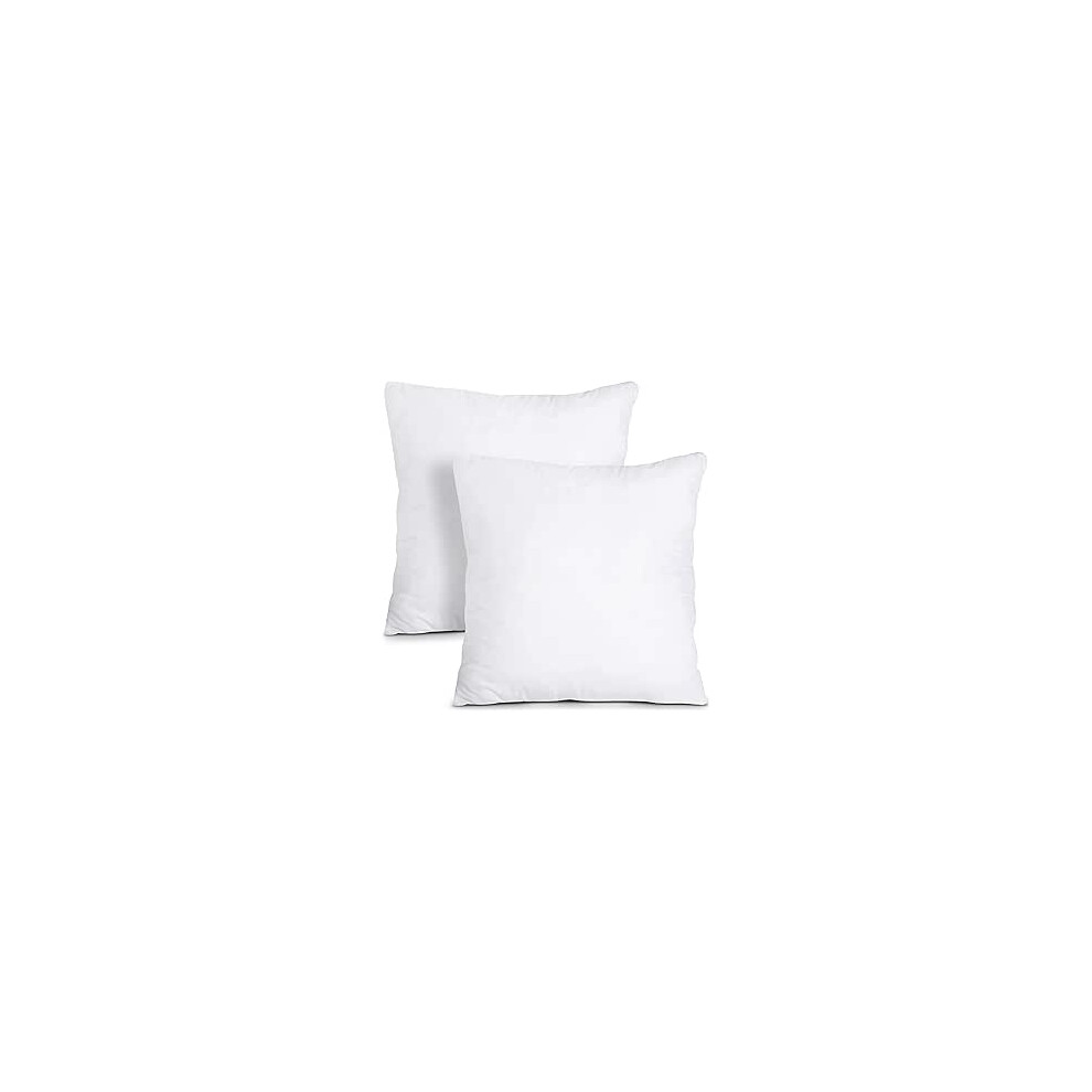 Lancashire Textiles (Pack Of 2, 24" X 24" (60 X 60Cm)) Microfibre Cushion Pads