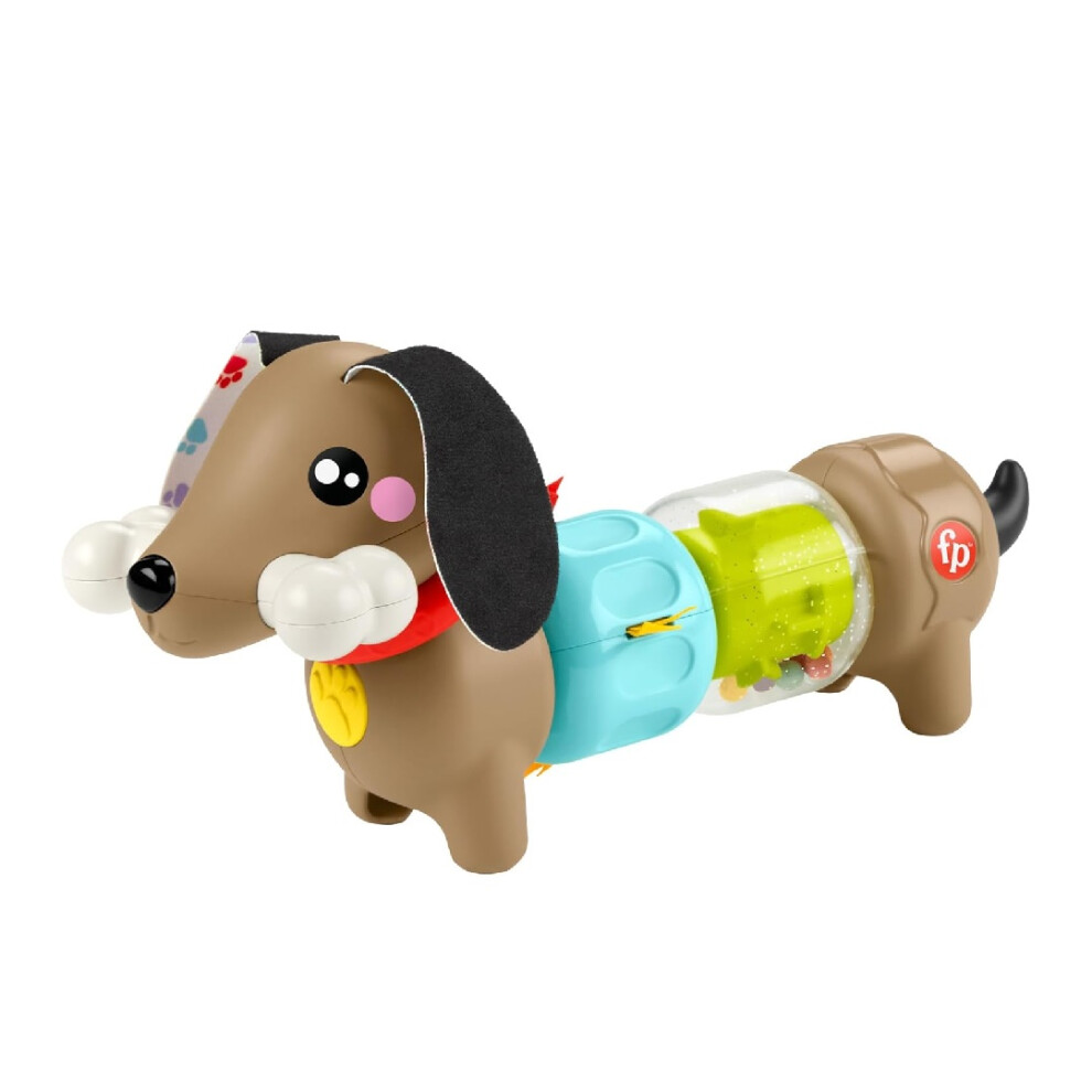 Fisher-Price Click & Spin Activity Pup