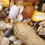 Marriage's Parrot Picnic Food 12.55kg 4