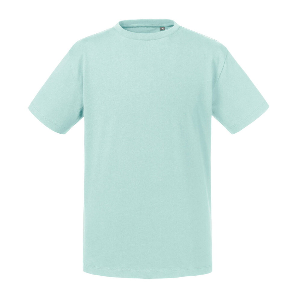 (13-14 Years, Aqua Blue) Russell Childrens/Kids Organic Short-Sleeved T-Shirt