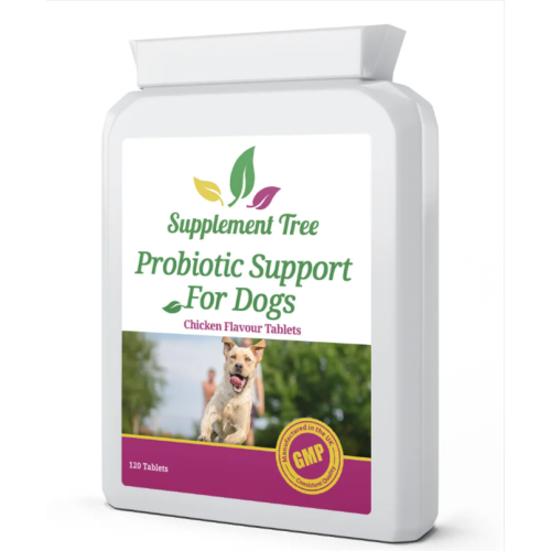 Probiotics for Dogs 120 Tablets; Multi Strain  with Digestive Enzymes