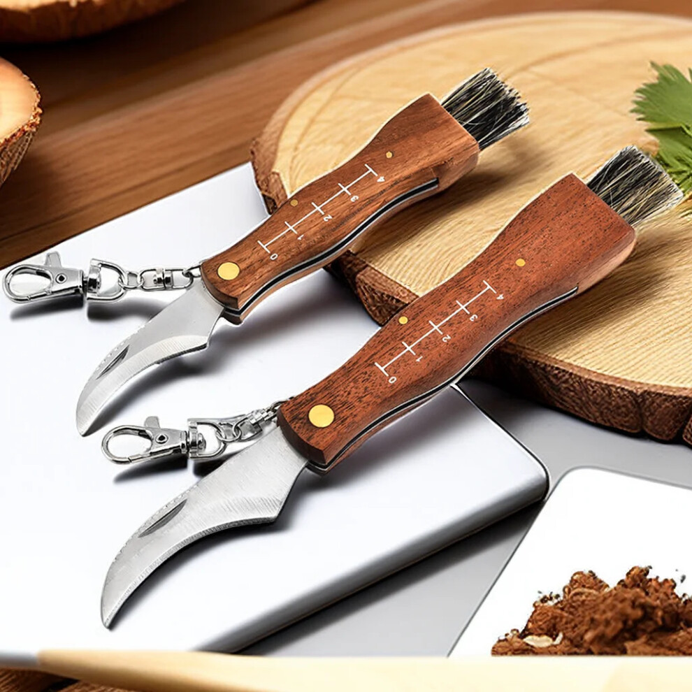 2 pcs - Mini Mushroom Knife Stainless Steel  Sharp Picking Knife