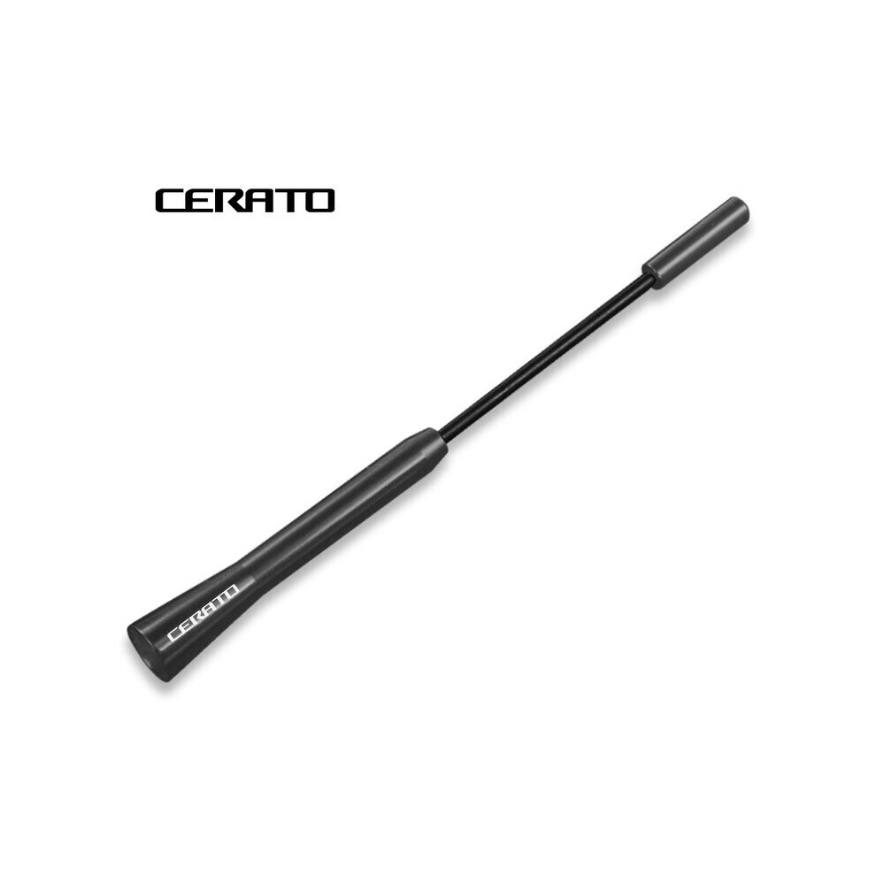 17cm Car Antenna Roof Aerial Accessories For Kia RIO PICANTO MOHAVE CARNIVAL-image-OPC-PFH6D28-NEW