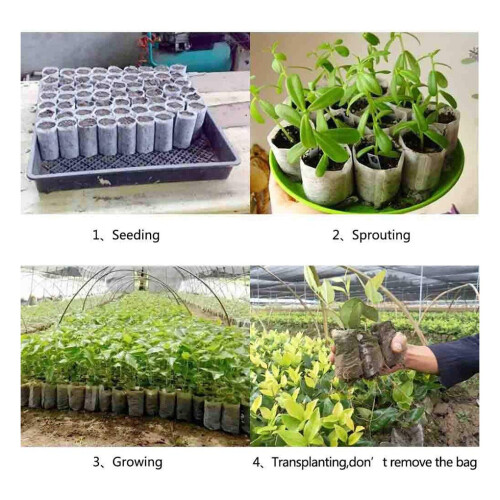 100PCS/SET Biodegradable Plant Growing Kits Seed Starter Bags Breathable 2