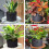 Multi Specification Plant Growing Kits Felt Hand-Held Bucket Bag, Non-Woven 4