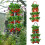 8 Hole Plant Growing Kits Upside Down Tomato Planter Vertical Hanging 2