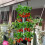 8 Hole Plant Growing Kits Upside Down Tomato Planter Vertical Hanging 3