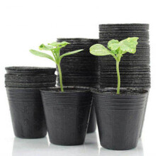 300pcs Pots Plant Growing Kits Degradable Flower Pot Gardening Pot Planter