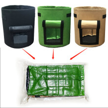 Sweet potato Plant Growing Kits bags Plant th bags