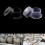 20pcs Mushroom Plant Growing Kits Spawn Bag Cap Lock Ring Cultivation 2