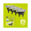Philips OneBlade 360 Ersatzklingen QP440/50 4er-Pack 2