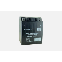Genuine UltraMax YB14-A2, 12V 14AH 160 CCA Motorbike Motorcycle Battery