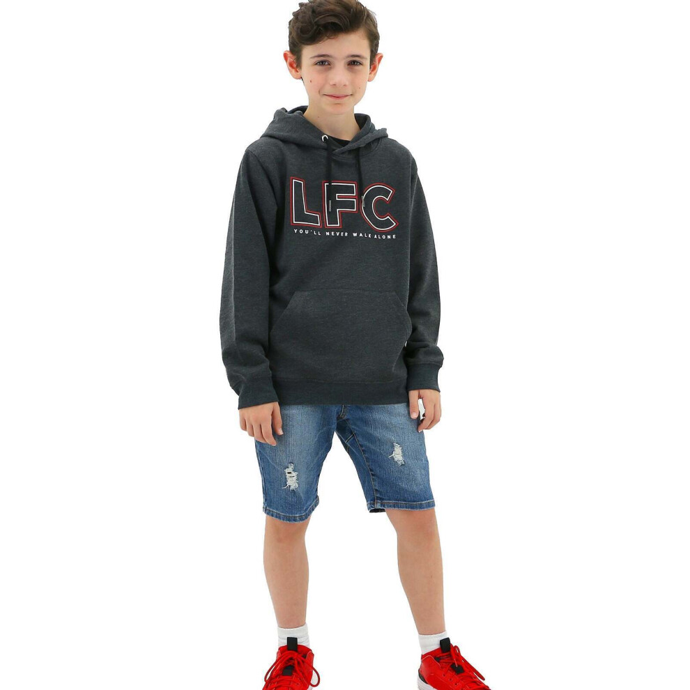 (12) Liverpool FC Youth Boys Hoodie Jumper LFC Anfield Hoody - Grey