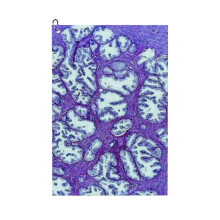 (Prostata Tissue_3943) Golf Towel Funny Printed Cristmas Gift for Men Women Husband Dad Mom Birthday Golfers Fan