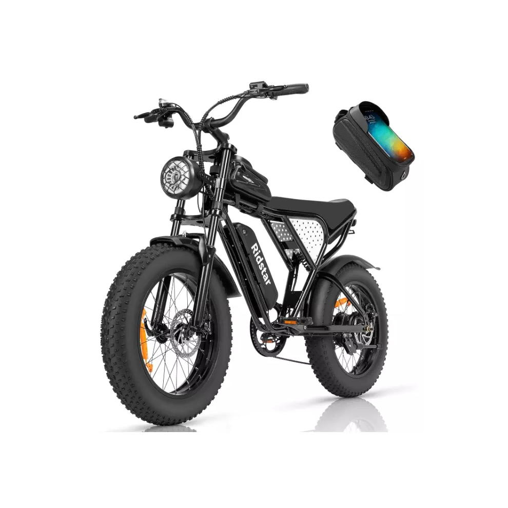 RIDSTAR Q20 Mini Electric Bike 20" Tires 1000W Motor 48V 15Ah Battery