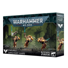 Warhammer 40k Blood Angels: Sanguinary Guard