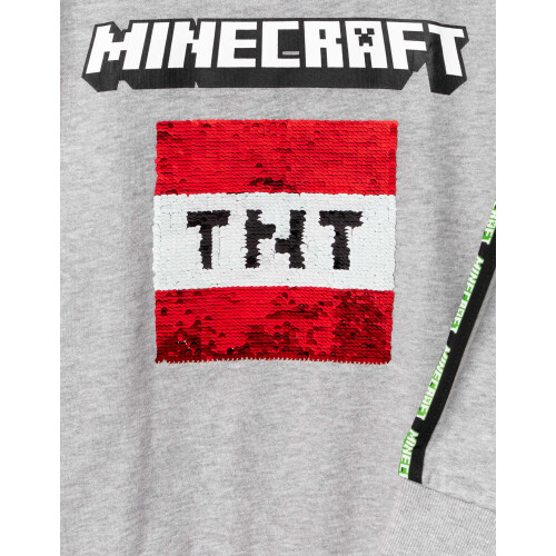 Minecraft (9-10 Years) Minecraft Sweatshirt (Unisex Kids Grey) 2