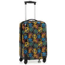 Harry Potter Medium Suitcase (Unisex Kids Multicoloured)