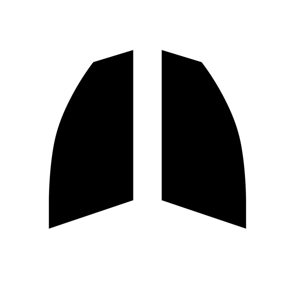 (Front Windows: 35% Light Smoke) Pre Cut Window Tint for Jaguar XJL  4-door Saloon - 2003 to 2010-image-OPC-PFHGKPN-NEW