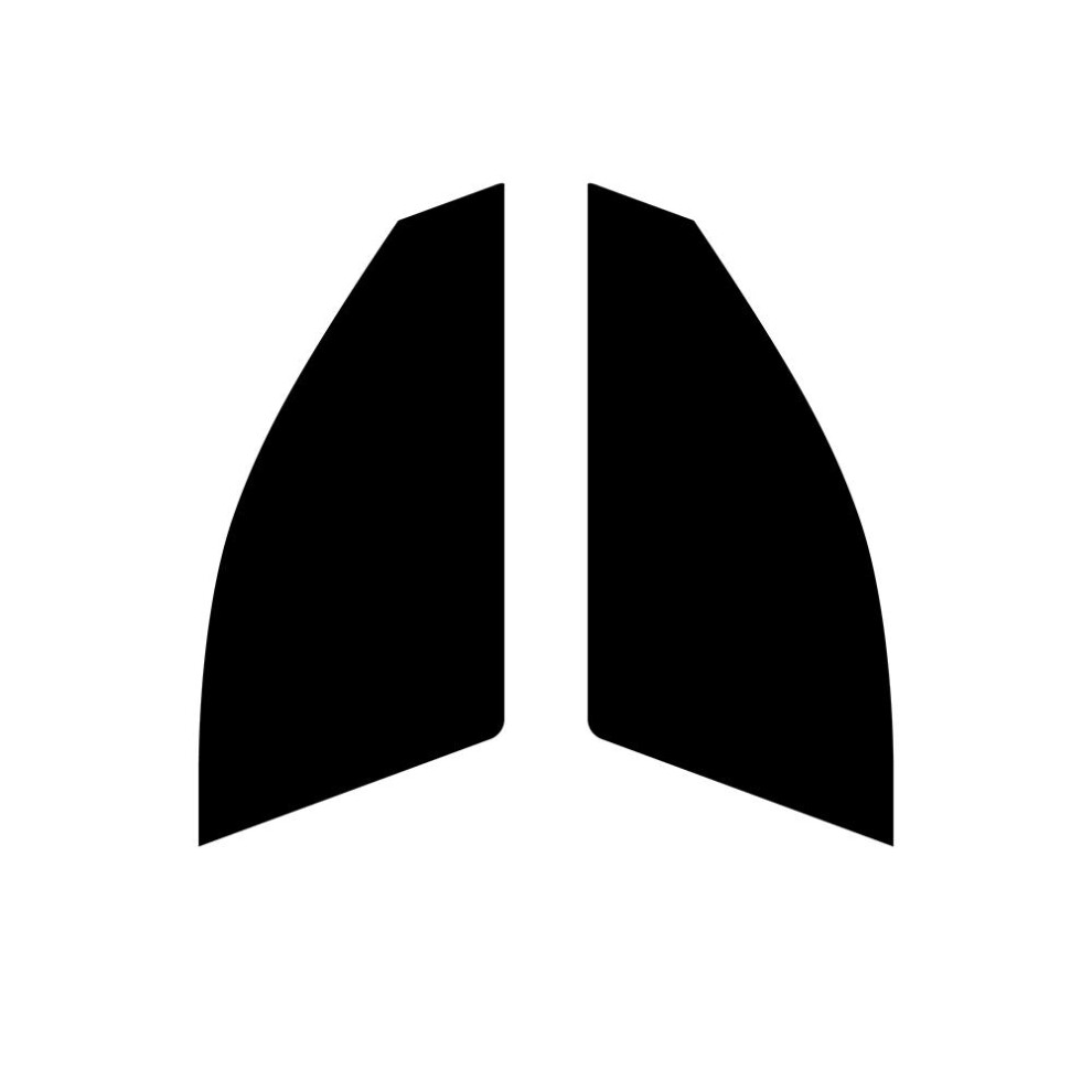 (Front Windows: 5% Limo Black) Pre Cut Window Tint for Maserati Quattroporte - 2003 to 2013-image-OPC-PFHGQS9-NEW