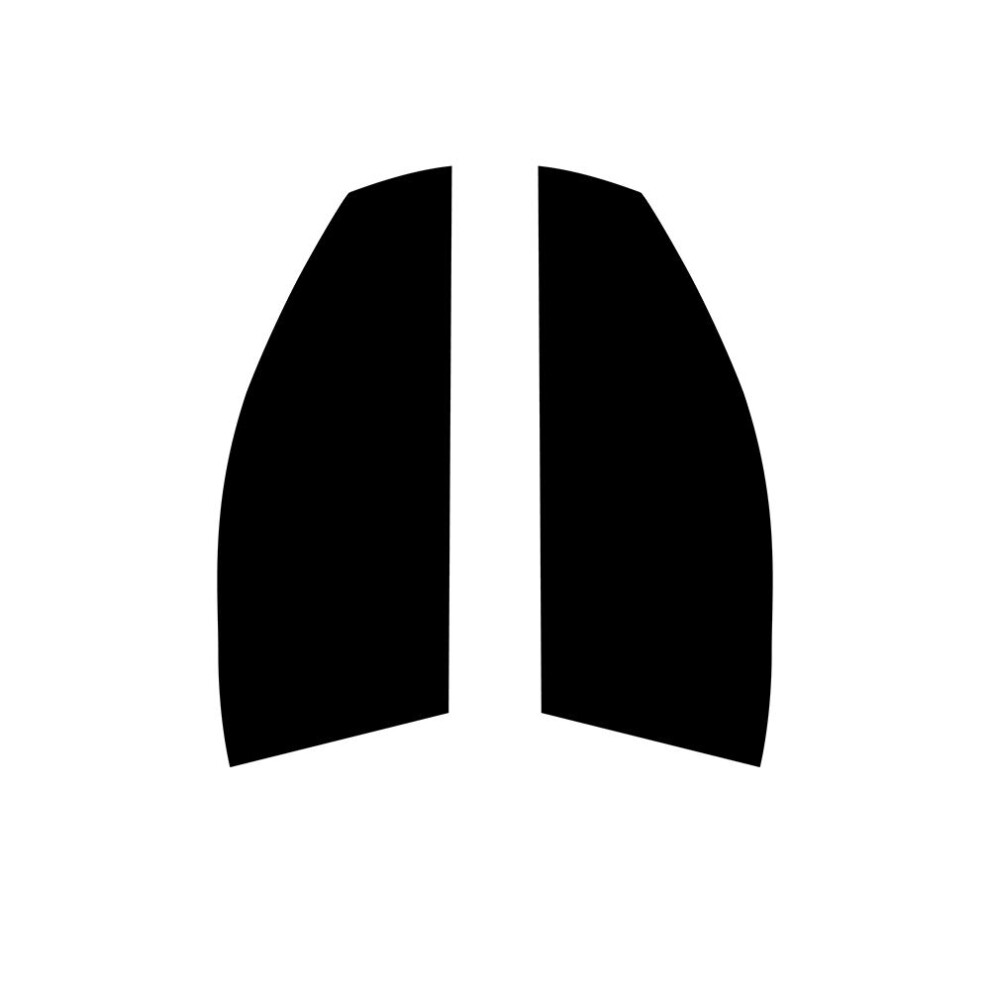 (Front Windows: 5% Limo Black) Pre Cut Window Tint for Mercedes C-Class Coupe - 2001 to 2005-image-OPC-PFHGRPF-NEW