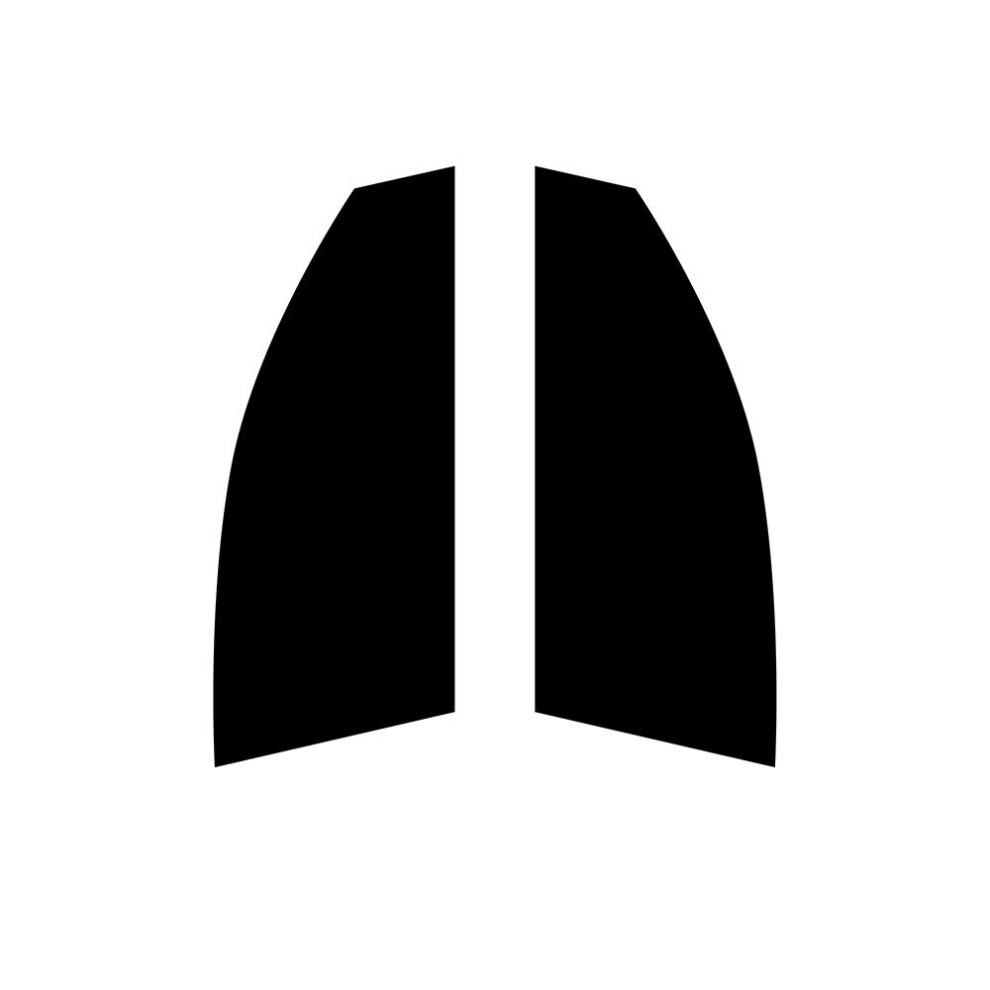 (Front Windows: 50% Ultra Light Smoke) Pre Cut Window Tint for SEAT Ibiza 3-door Hatchback - 2002 to 2008-image-OPC-PFHH2RQ-NEW