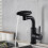Living And Home (Black) G1/2 Pull-out Sprayer Retractable Kitchen Faucet Kitchen Tap with 4 Modes 1