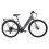 (Medium) Dawes Scenic Low Step Hybrid Electric Bike Grey 1