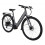 (Medium) Dawes Scenic Low Step Hybrid Electric Bike Grey 3