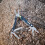 REWIND - Multifunction Tool - 13 in 1 - Lightweight 2