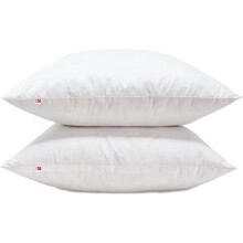 (Pack of 2, 15 x 15 ( 38 x 38cm)) Lancashire Textile Duck Feather Soft Cushion Pads