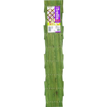 (6 x 4 Expanding Trellis - GREEN) Garden Expanding Trellis Green - Pack of 5