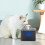 Living And Home 2L Pet Water Fountain with LED Lights 1