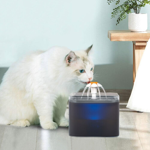 Living And Home 2L Pet Water Fountain with LED Lights