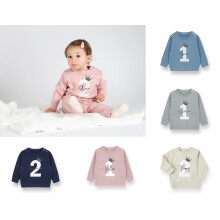 (Light Stone, 2 - 3 Years) Personalised Birthday Jumper, Name Age, Custom Baby & Toddler Sweater Print, Long Sleeve, 1st Birthday Outfit
