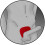 ElectraStim Silicone Fusion Viper Cock Shield 4