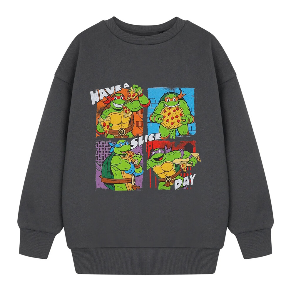 (9-10 Years, Charcoal) Teenage Mutant Ninja Turtles Boys Have A Slice Day Sweatshirt