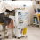 (White) Five Levels Movable Bookshelf 1