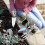 Spear & Jackson Spear & Jackson 3056GS/12 Neverbend Stainless Hand Tool Gift Set 5