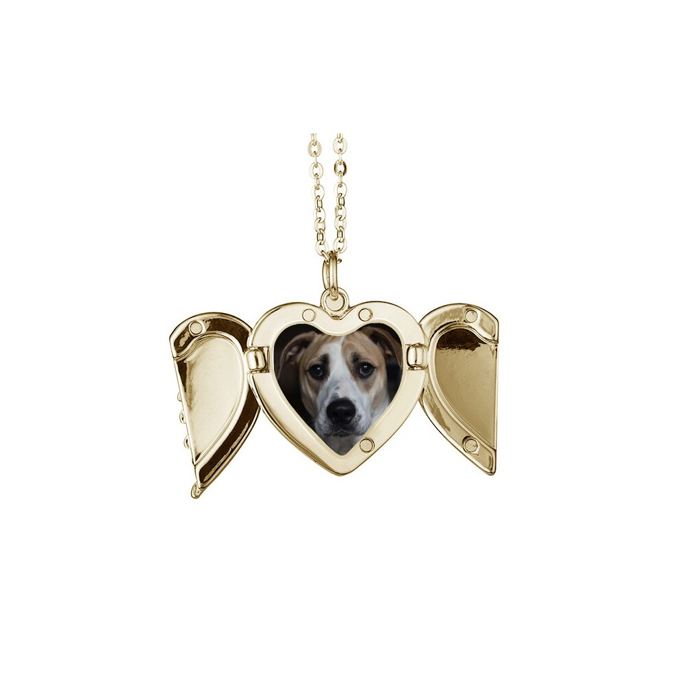 Photos - Pendant / Choker Necklace Dog Pet Animal Dark Picture Folded Wings Peach Heart Pendant Necklace