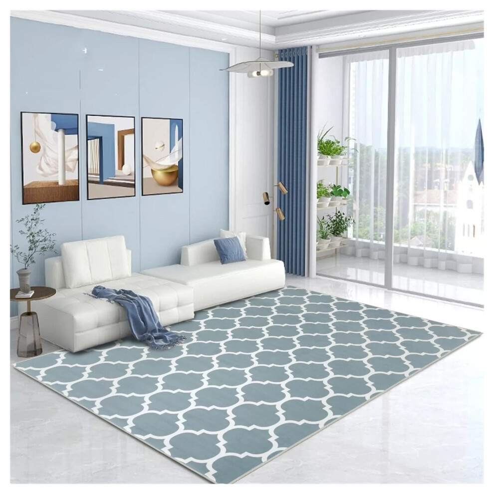 (120 x 170 cm (4 ft x 4 ft 9 in)_Small Area Rug, Ava) Extra Large Rugs Living Room Printed Rug Runner