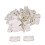 For 30pcs White Inner Length 55mm Plastic Bed Slat End Caps Holders Accessory WS3766 1