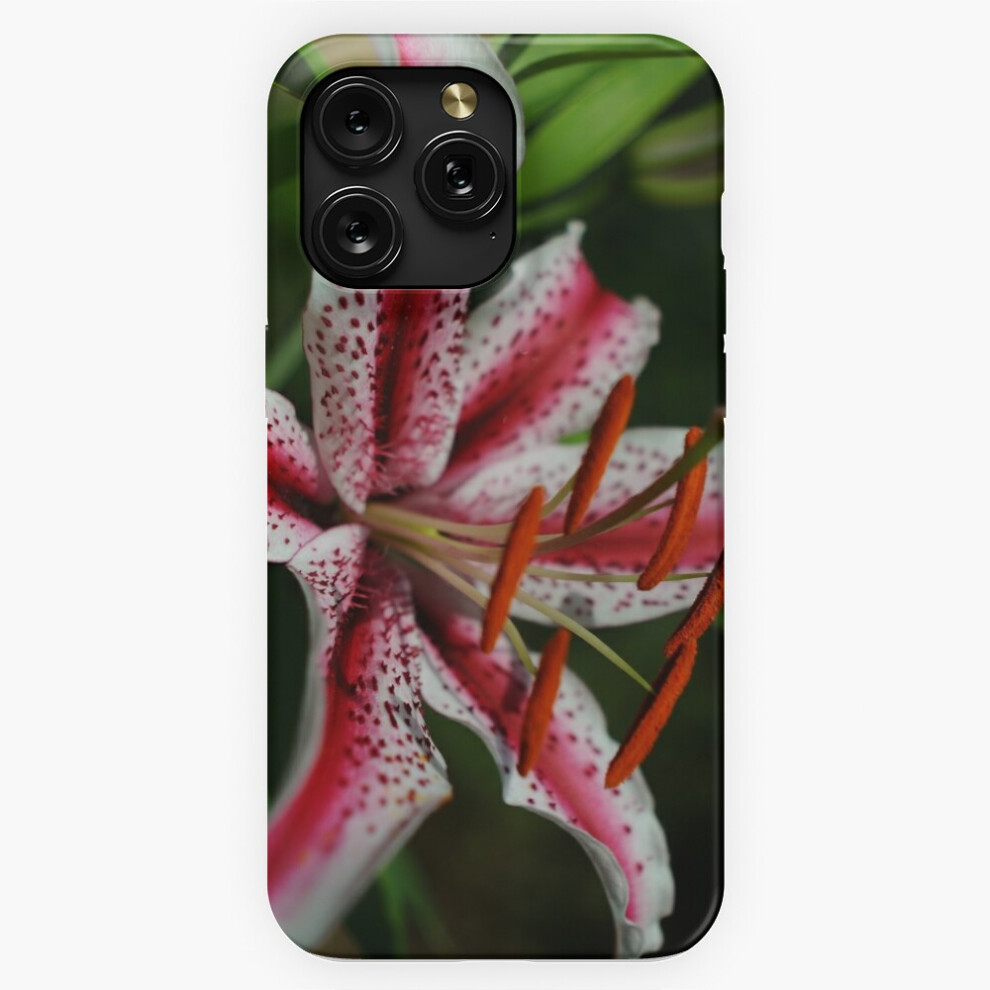(Carnaval Blooms=3422) Phone Case For Iphone Samsung 19 18 17 16 14 13 12 11 Plus Pro Max Galaxy S28 S27 S26 S25 S24 S23 S22 Ultra Note 20 4741628061559