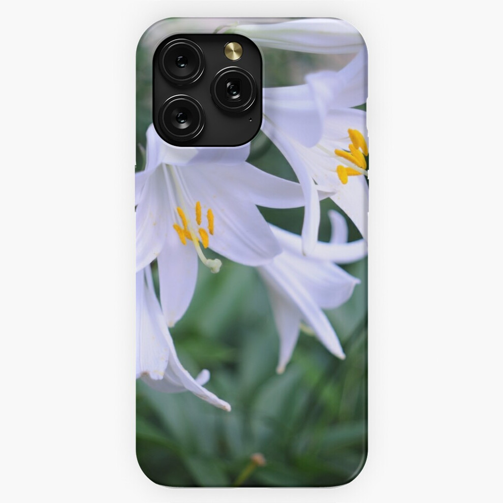 ( Wonders=4948) Phone Case For Iphone Samsung 19 18 17 16 14 13 12 11 Plus Pro Max Galaxy S28 S27 S26 S25 S24 S23 S22 Ultra Note 20 White 4741628077116