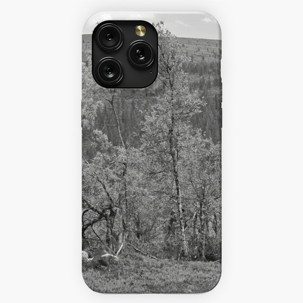 (Two Birches As High As They Get Bw=4522) Phone Case For Iphone Samsung 19 18 17 16 14 13 12 11 Plus Pro Max Galaxy S28 S27 S26 S25 S24 S23 S22 Ultra 4741628072777