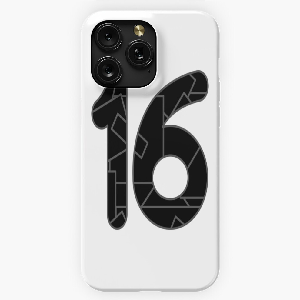 (The Number Sixteen (16) In =5999) Phone Case For Iphone Samsung 19 18 17 16 14 13 12 11 Plus Pro Max Galaxy S28 S27 S26 S25 S24 S23 S22 Ultra No Black 4741628087832